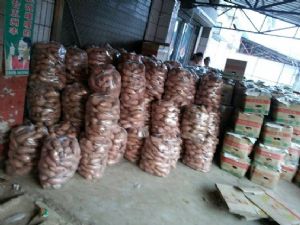 万亩红薯供应