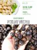 珍珠马蹄荸荠湘菜粤菜食材