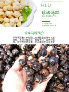 珍珠马蹄荸荠湘菜粤菜食材