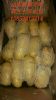 荷兰十五土豆马铃薯大量供应