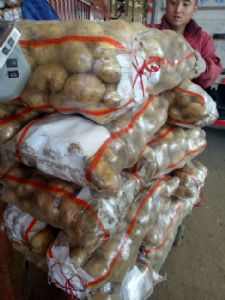 大量供应土豆
