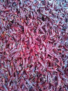 北京红油椒等各种干辣椒大量上市