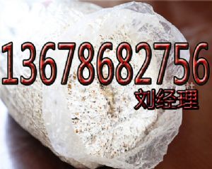 重庆蘑菇菌包大量批发