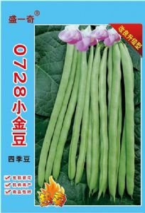 小金豆四季豆种子 红花青荚 蔬菜种子 菜种子批发