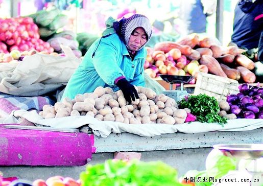 苹果苦瓜市场价多少钱一斤