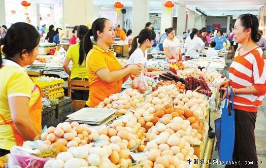 越南紫薯批发多少钱一斤