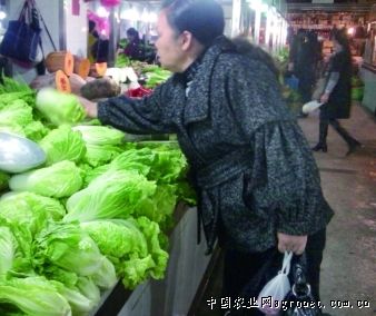 湘潭菜市场设计