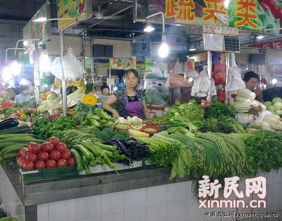 北京香菜批发市场