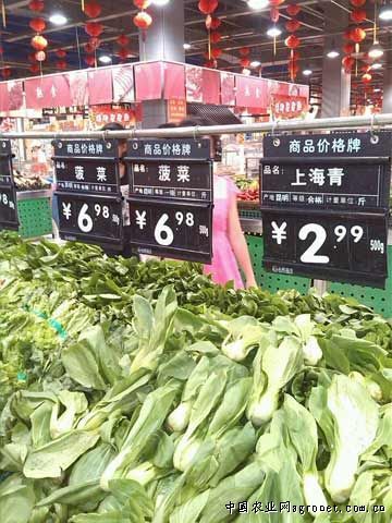 莱阳蔬菜批发市场