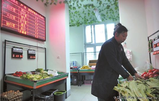 重庆市开展“放心蔬菜示范超市”创建活动