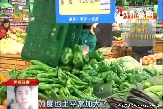 天宇辣椒多少钱一斤
