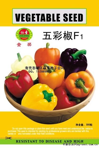 台湾75-3毛豆育种技术