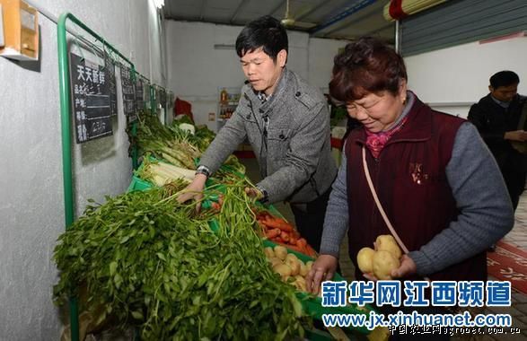 北京小杂60白菜市场价格