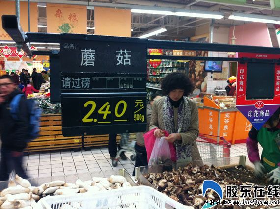 花魔芋价格多少钱一斤