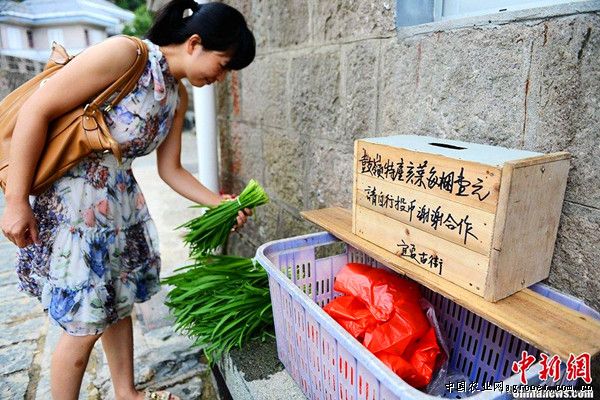 长寿仁豌豆市场下载