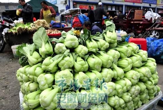 红菜苔市场价格