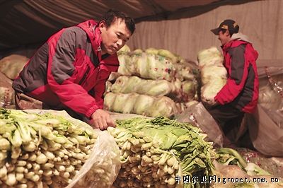 玉米笋市场多少钱一斤