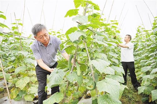 陕西中农化肥有限公司