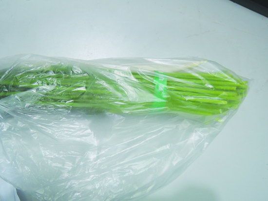 蕨菜种植技术