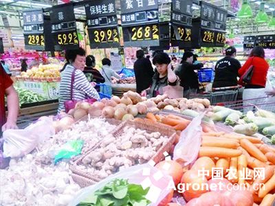 北京香菜育种技术