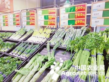广州亚蔬种业