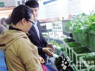 北京大白菜教育