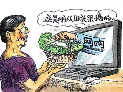 北京香菜价格最新行情
