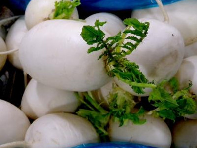 京翠70白菜种植技术