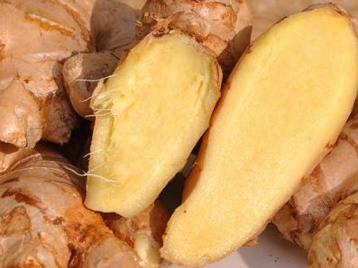 黄心红薯种植技术