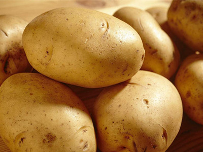 青薯168号土豆产地价格