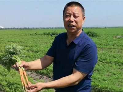 甜脆玉米种植技术视频