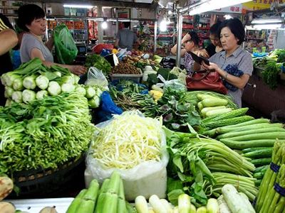 越南紫薯种植技术