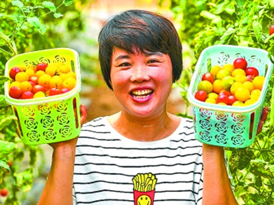 水果西红柿批发市场