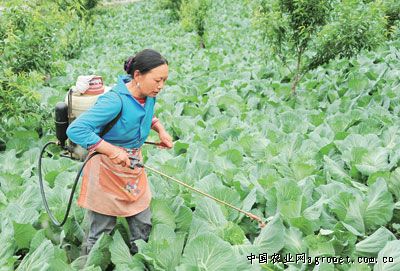 河南省注册农民合作社达10.4万家