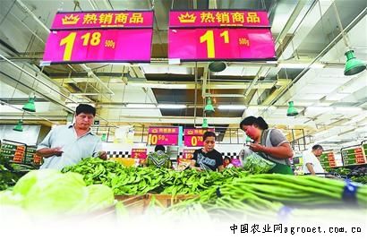 惠比寿南瓜市场价格