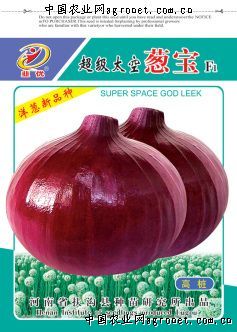 寒绿王韭菜种子公司