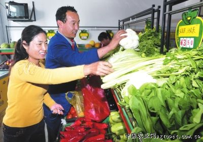 青岛:蔬菜结对直销 解卖难买贵难题（图）