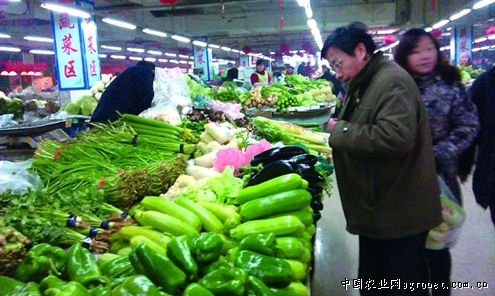 河南辣椒种子生产厂家