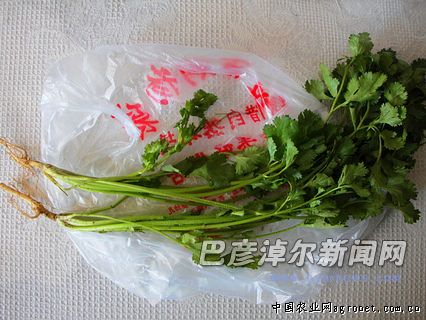 广州林国化肥有限公司