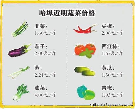 大白菜病虫害防治