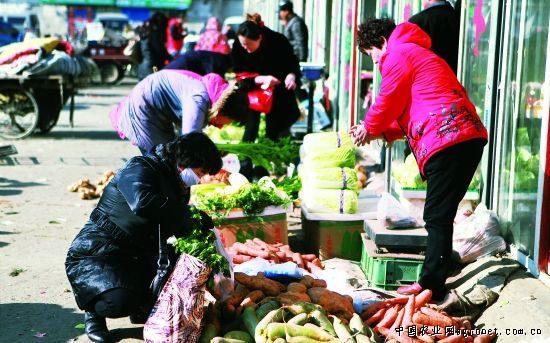 申城打造产地直销的生鲜超市 菜价有望下降