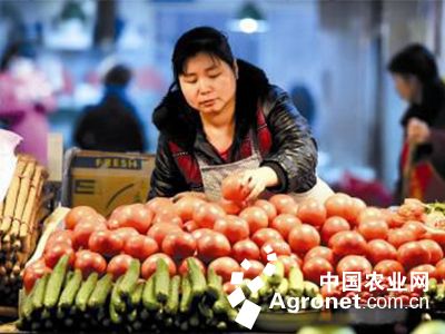 韩国白萝卜市场价格