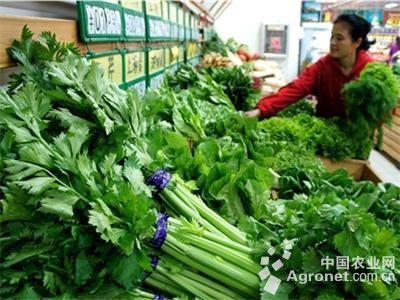 扬州：开展蔬菜种子植检市场检查（图）