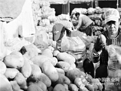 超荷15土豆市场批发价格