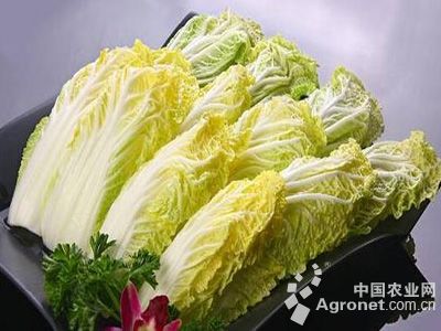 四季王白菜贮藏方法