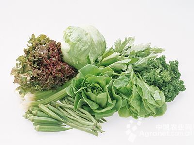 大白菜病虫害及防治