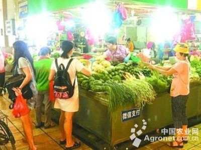 甜竹笋高产种植技术