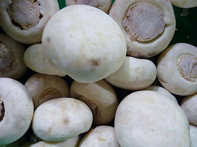 豌豆价格多少钱一吨