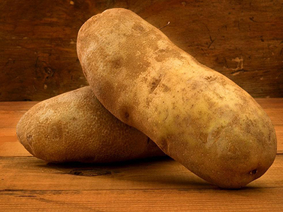 丽薯7号土豆加工厂