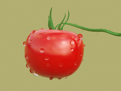 西红柿黄叶病